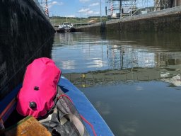 Mainschwimmen Juni 2026